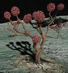 The Brain Trees Harvest Tour